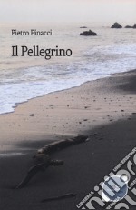 Il pellegrino