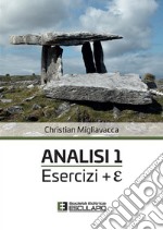 Analisi 1. Esercizi + E