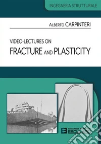 Video-lectures on fracture and plasticity