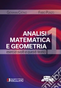 Analisi matematica e geometria 1. Esercizi svolti e quesiti teorici libro