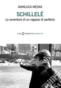 Schillelé. Le avventure di un ragazzo di periferia libro