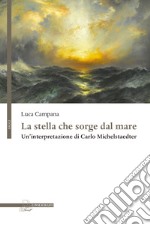 La stella che sorge dal mare. Un'interpretazione di Carlo Michelstaedter