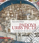 Padova Urbs Picta. Le arti figurative alla corte dei Carraresi (Aedificium, luoghi dell'arte e della storia) libro