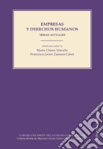 Empresas y derechos humanos. Temas actuales libro