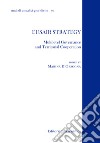 Eusair strategy. Multilevel Governance and territorial cooperation libro