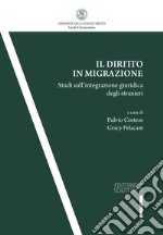 Il diritto in migrazione. Studi sull'integrazione giuridica degli stranieri libro