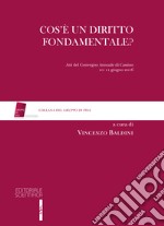 Cos'è un diritto fondamentale? Atti del Convegno (Cassino, 10-11 giugno 2016) libro