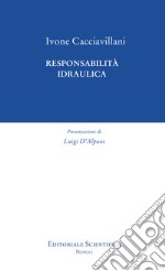 Responsabilità idraulica libro