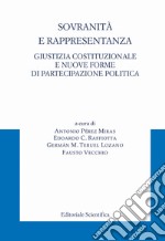 Sovranità e rappresentanza. Giustizia costituzionale e nuove forme di partecipazione politica