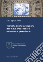 Tecniche di interpretazione dell'Adunanza Plenaria e valore del precedente libro