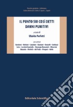 Il punto sui così detti danni punitivi libro