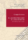 Il lavoro precario e il suo diritto. Un'introduzione critica libro