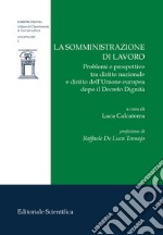 La somministrazione di lavoro. Problemi e prospettive tra diritto nazionale e diritto dell'Unione europea dopo il Decreto Dignità libro