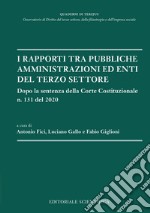 I rapporti tra pubbliche amministrazioni ed enti del terzo settore. Dopo la sentenza della Corte Costituzionale n. 131 del 2020