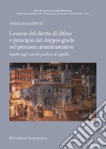 Lesione del diritto di difesa e principio del doppio grado nel processo amministrativo. Studio sugli esiti del giudizio di appello libro