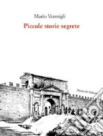 Piccole storie segrete libro