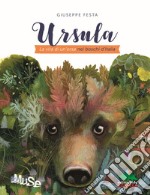 Ursula. La vita di un'orsa nei boschi d'Italia libro