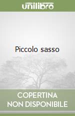 Piccolo sasso