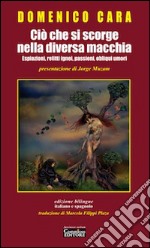 Ciò che si scorge nella diversa macchia. Espiazioni, relitti ignei, passioni, obliqui umori