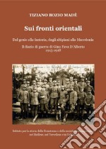 Sui fronti orientali. Dal genio alla fanteria, dagli altipiani alla Macedonia. Il diario di guerra di Gino Fava D'Alberto 1915-1918