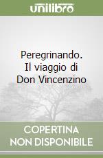 Peregrinando. Il viaggio di Don Vincenzino