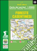 Foreste casentinesi