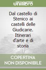 Dal castello di Stenico ai castelli delle Giudicarie. Itinerari d'arte e di storia libro