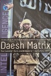 Daesh Matrix. Cosa è cambiato? Stanno vincendo o perdendo? Che fine fanno i rifugiati? libro