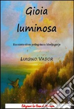 Gioia luminosa. Racconto di un pellegrino a Medjugorje libro