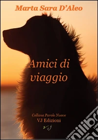 Amici di viaggio