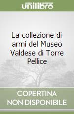 La collezione di armi del Museo Valdese di Torre Pellice