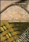 Segni del visibile. Ediz. illustrata libro di Cicciarella Ezio Iozzia Corrado Zuccaro P. (cur.)