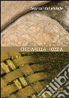 Segni del visibile. Ediz. illustrata libro di Cicciarella Ezio Iozzia Corrado Zuccaro P. (cur.)