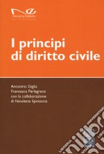 I principi di diritto civile