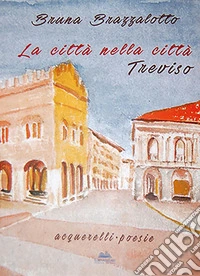 La città nella città Treviso
