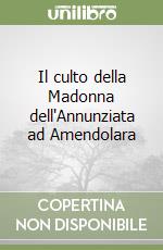 Il culto della Madonna dell'Annunziata ad Amendolara libro