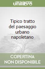 Tipico tratto del paesaggio urbano napoletano libro