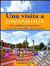 Una visita a Damanhur. Vida cotidiana, pensamiento e historia de un pueblo capaz de soñar libro di Stambecco Pesco Formica Coriandolo