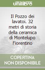Il Pozzo dei lavatoi. 32 metri di storia della ceramica di Montelupo Fiorentino libro
