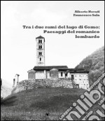 Tra i due rami del lago di Como: panorami del romanico lariano libro