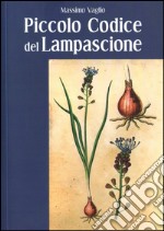 Piccolo codice del lampascione