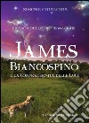 James Biancospino e la confraternita della luce. La saga delle pietre magiche libro