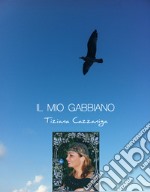 Il mio gabbiano