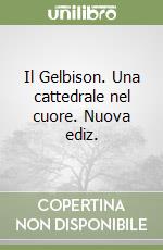 Il Gelbison. Una cattedrale nel cuore. Nuova ediz. libro