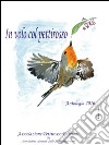 In volo col pettirosso. Antologia 2016 libro