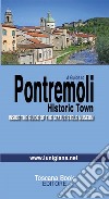 A guide to Pontremoli. Historic town. Inside the guide of the Statue Stele Museum libro