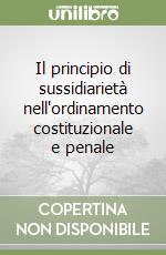 Il principio di sussidiarietà nell'ordinamento costituzionale e penale libro