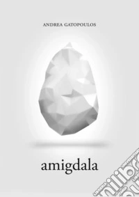 Amigdala