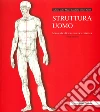 Struttura uomo. Manuale di anatomia artistica libro di Lolli Alberto Zocchetta Mauro Peretti Renzo