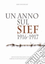 Un anno sul Sief 1916-1917 libro